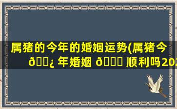 属猪的今年的婚姻运势(属猪今 🌿 年婚姻 🐈 顺利吗2021)